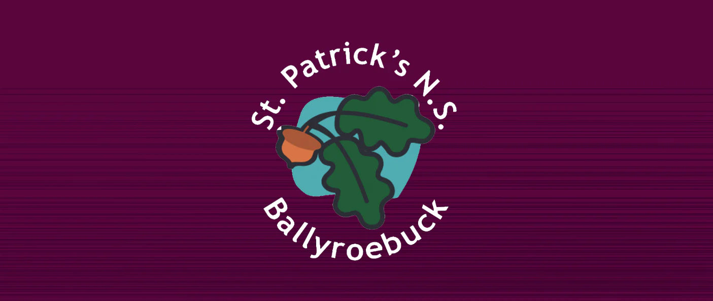 Buy St. Patrick’s NS Ballyroebuck School Uniforms Online - Eide